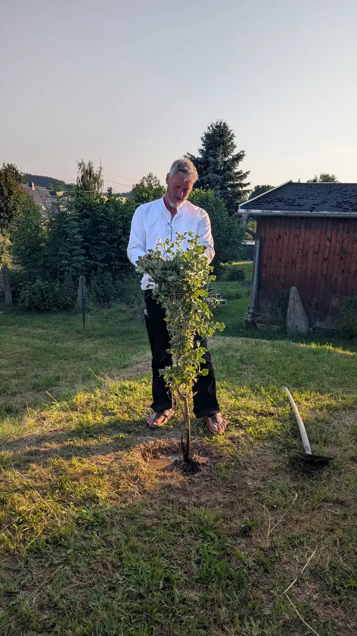 Heino Langer an der frisch gepflanzten und angegossenen Kermeseiche